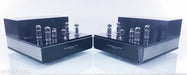 Doshi Audio JHor Monoblock Tube Power Amplifier