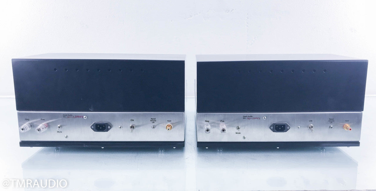 Doshi Audio JHor Monoblock Tube Power Amplifier