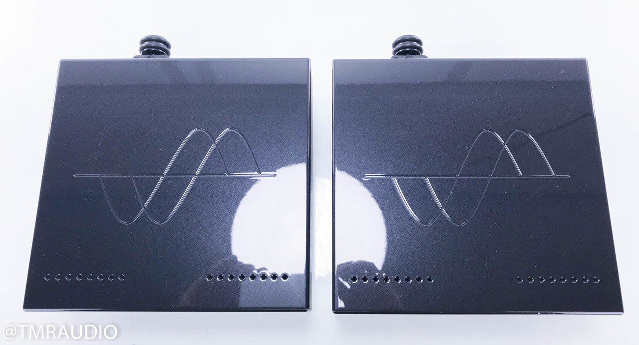 Merrill Thor Mono Power Amplifier