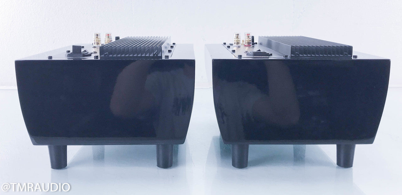 Tube Audio Design TAD-125 Hibachi Mono Power Amplifier