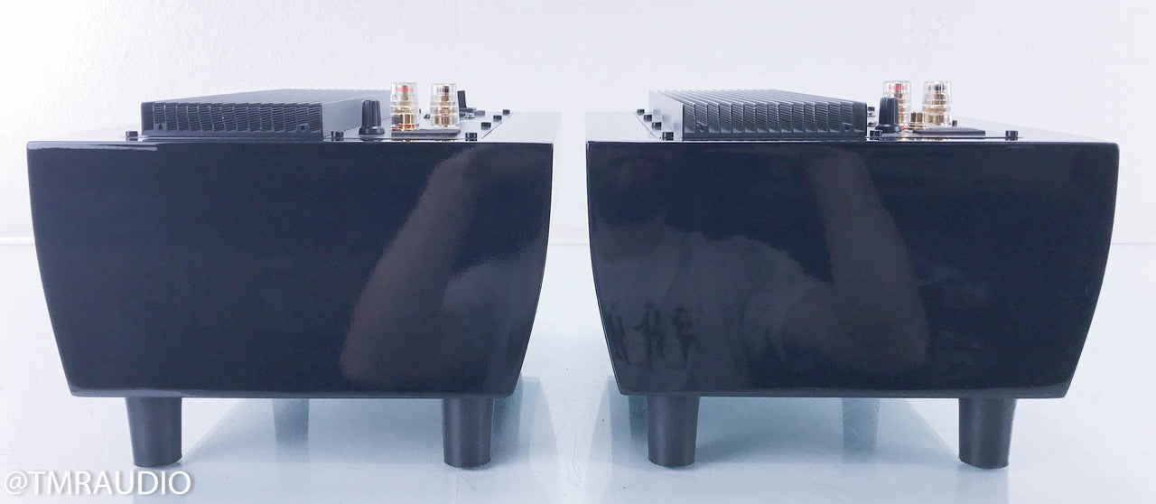 Tube Audio Design TAD-125 Hibachi Mono Power Amplifier