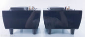Tube Audio Design TAD-125 Hibachi Mono Power Amplifier