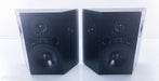 LSA 1OW Tripole Surround / On-Wall Speakers