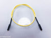 Analysis Plus Digital Oval RCA Digital Coaxial Cable