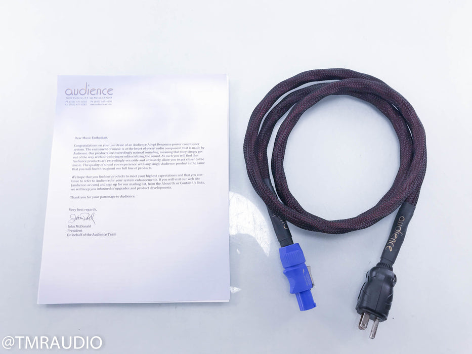 Audience AdeptResponse AR6-TSS AC Power Line Conditioner