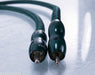 Audioquest Jaguar RCA Cables