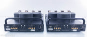 BAT VK-150SE Tube Mono Power Amplifier