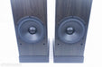 Martin Logan Source Electrostatic Hybrid Floorstanding Speakers