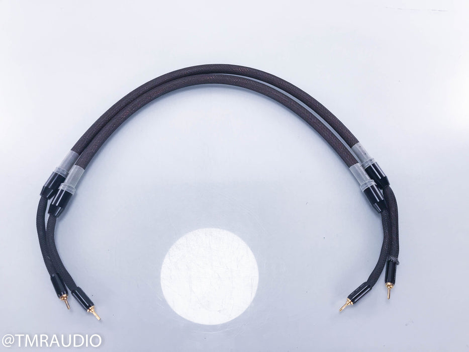 Tara Labs The One Speaker Cables
