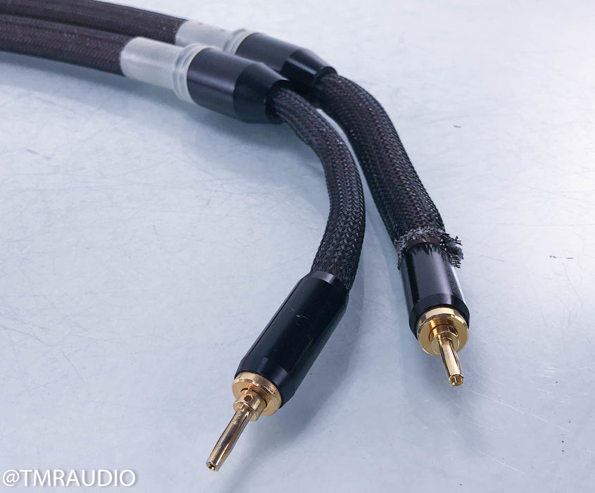Tara Labs The One Speaker Cables