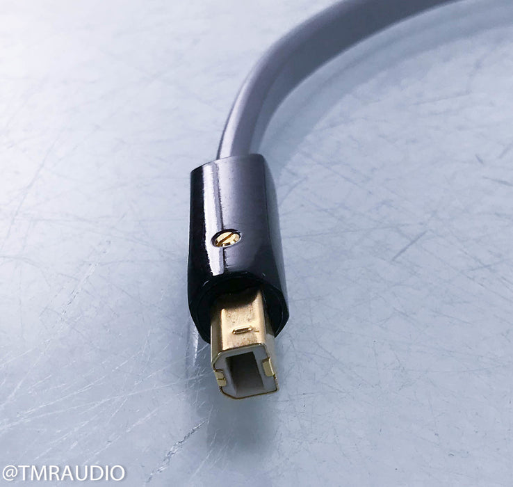 Wireworld Platinum Starlight 7 USB Cable