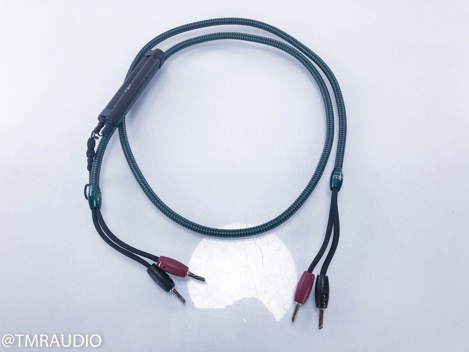 Audioquest CV-4.2 36v Dbs Speaker Cable