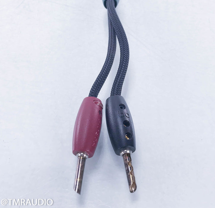 Audioquest CV-4.2 36v Dbs Speaker Cable