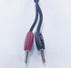 Audioquest CV-4.2 36v Dbs Speaker Cable