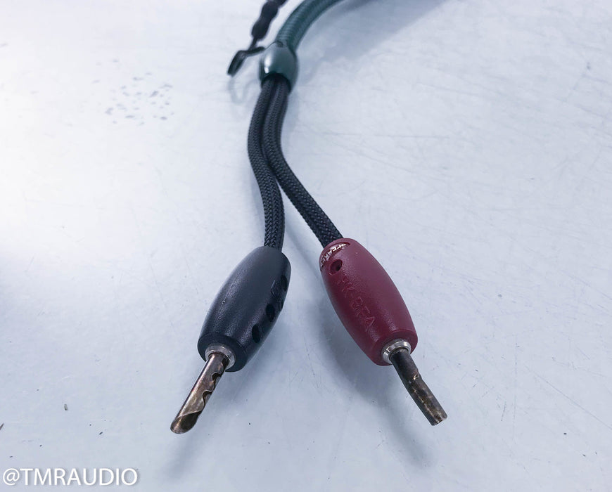 Audioquest CV-4.2 36v Dbs Speaker Cable