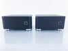 Blue Rose Audio IQ M300 Mono Power Amplifier
