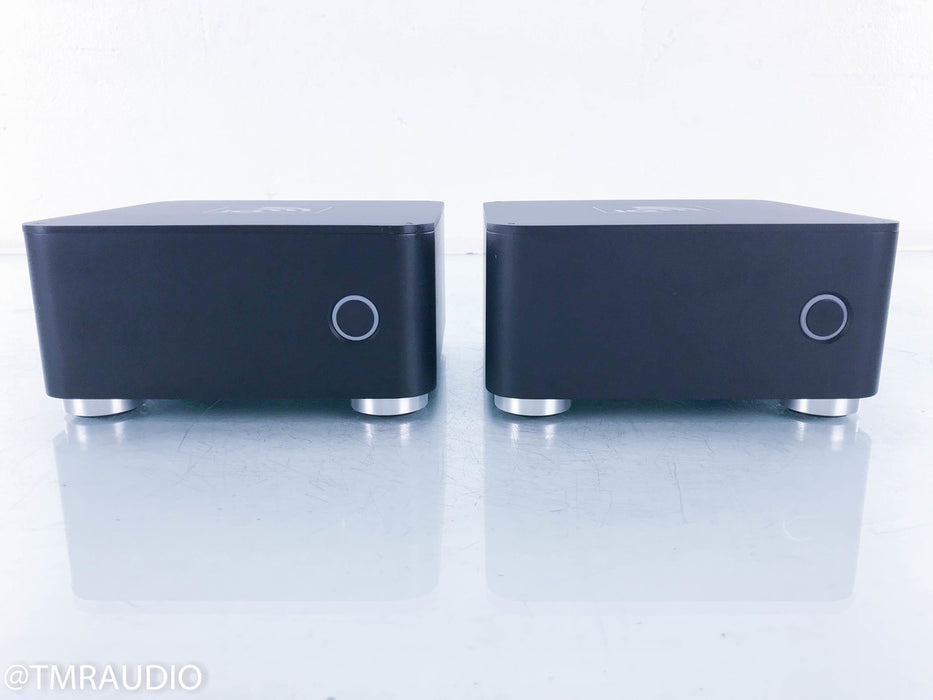 Blue Rose Audio IQ M300 Mono Power Amplifier