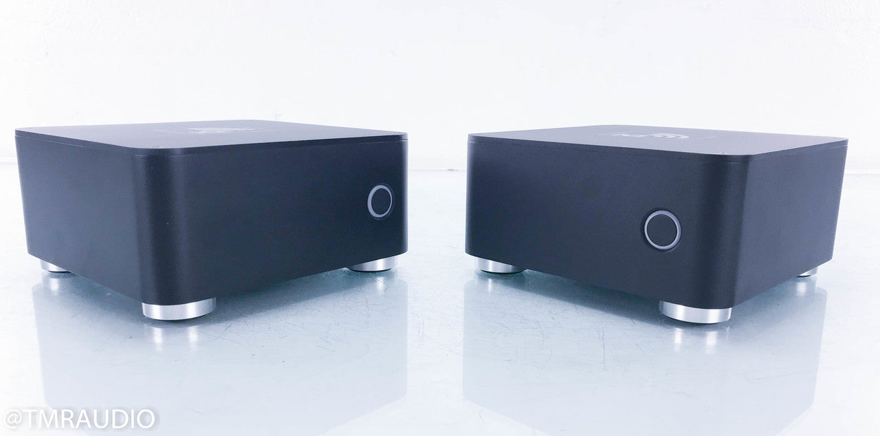 Blue Rose Audio IQ M300 Mono Power Amplifier
