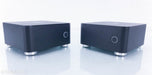 Blue Rose Audio IQ M300 Mono Power Amplifier