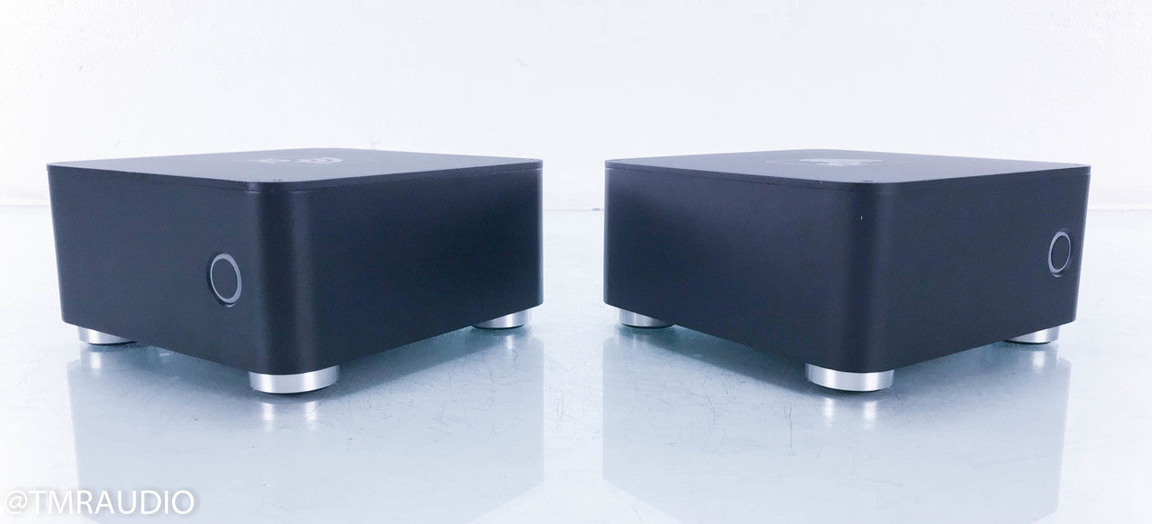 Blue Rose Audio IQ M300 Mono Power Amplifier