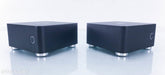Blue Rose Audio IQ M300 Mono Power Amplifier