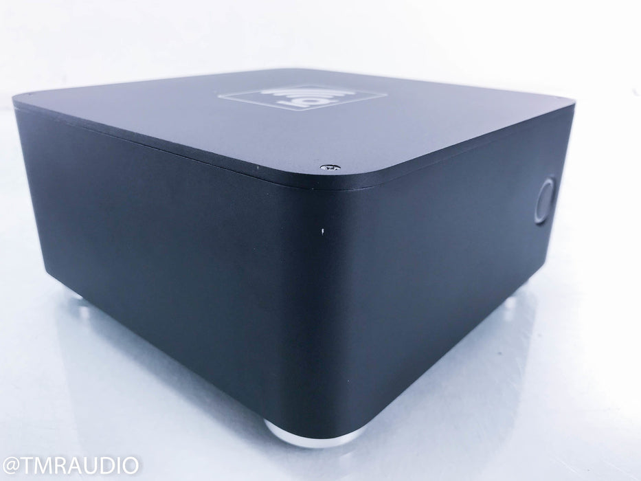 Blue Rose Audio IQ M300 Mono Power Amplifier