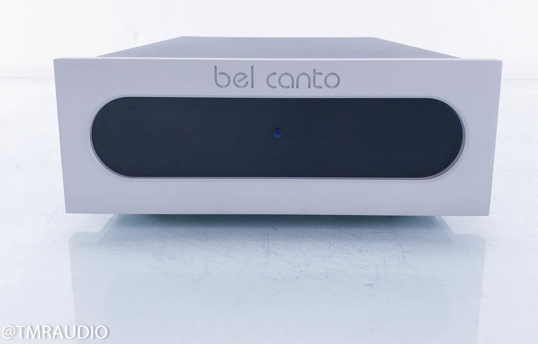 Bel Canto e.One S300 Dual Mono Power Amplifier