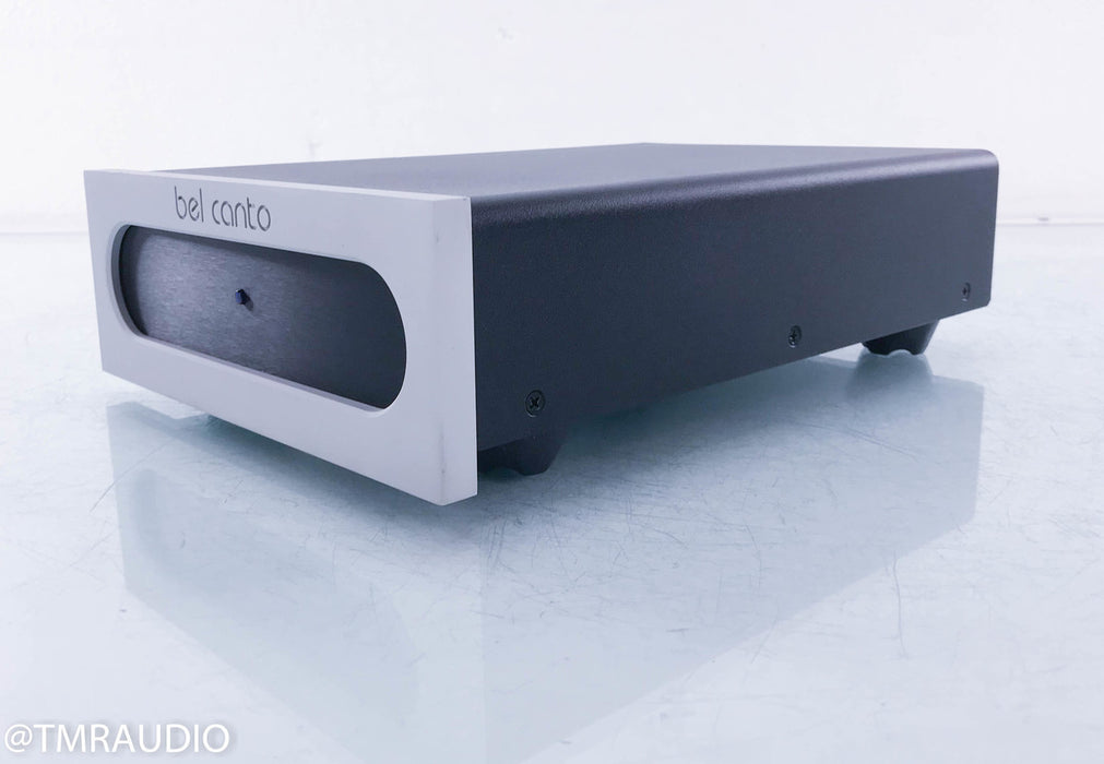 Bel Canto e.One S300 Dual Mono Power Amplifier