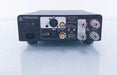 Bel Canto e.One S300 Dual Mono Power Amplifier