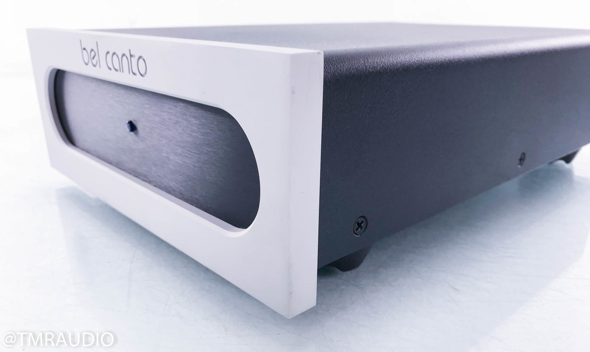 Bel Canto e.One S300 Dual Mono Power Amplifier