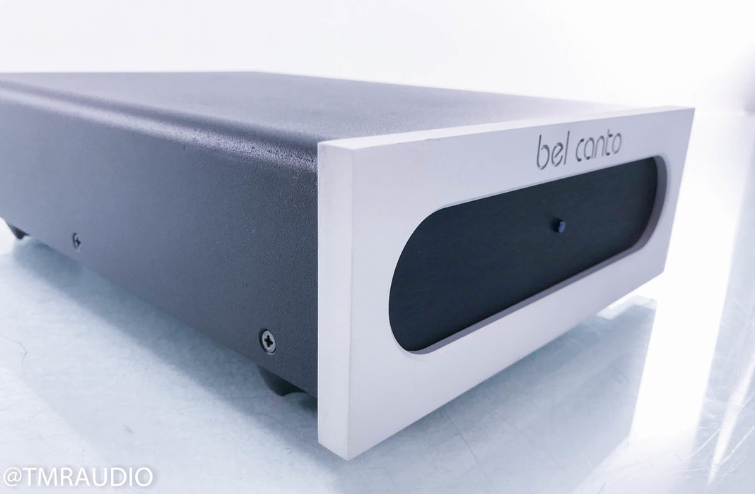 Bel Canto e.One S300 Dual Mono Power Amplifier