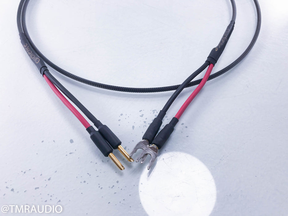 Audience AU24 SE Speaker Cables