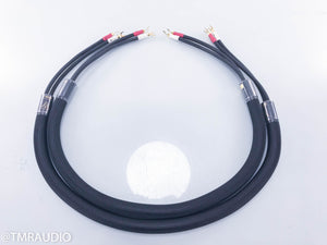 Shunyata Research Zitron Anaconda Speaker Cables