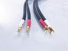 Shunyata Research Zitron Anaconda Speaker Cables