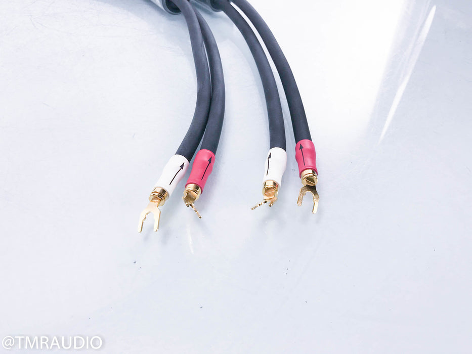 Shunyata Research Zitron Anaconda Speaker Cables