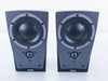 Dynaudio Contour S R On Wall Speakers