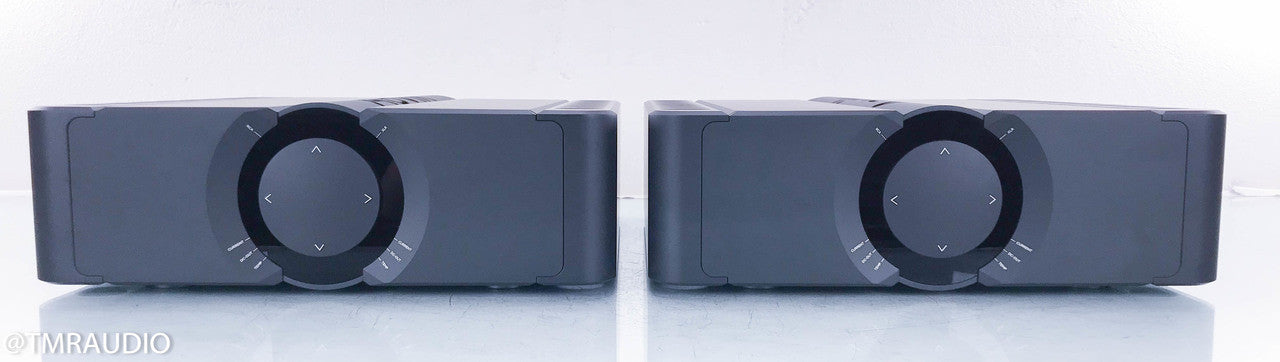 Aavik Acoustics M-300 Mono Power Amplifier