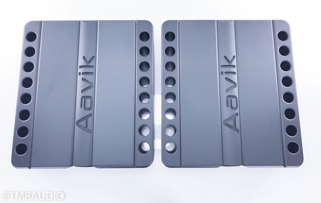 Aavik Acoustics M-300 Mono Power Amplifier