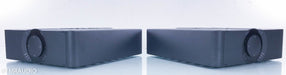 Aavik Acoustics M-300 Mono Power Amplifier