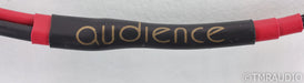 Audience Au24 SE Full Speaker Cables