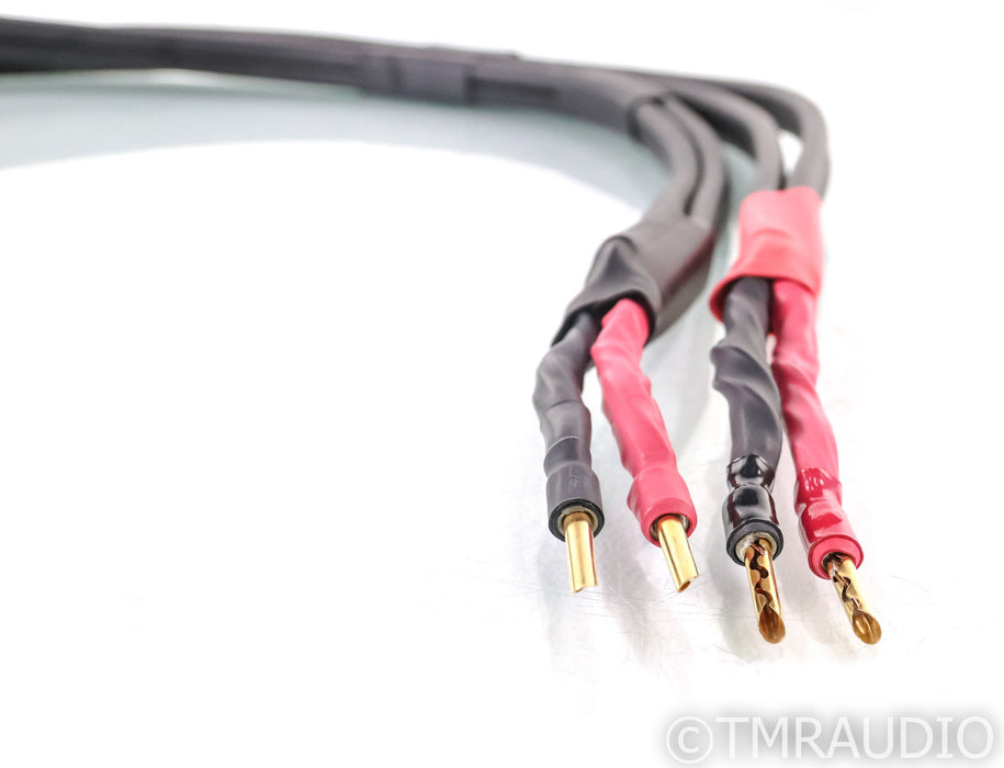 AudioQuest Slate Bi-Wire Speaker Cables; 1.5m Pair
