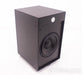 REL B1 Britannia 12" Powered Subwoofer; Black; B-1