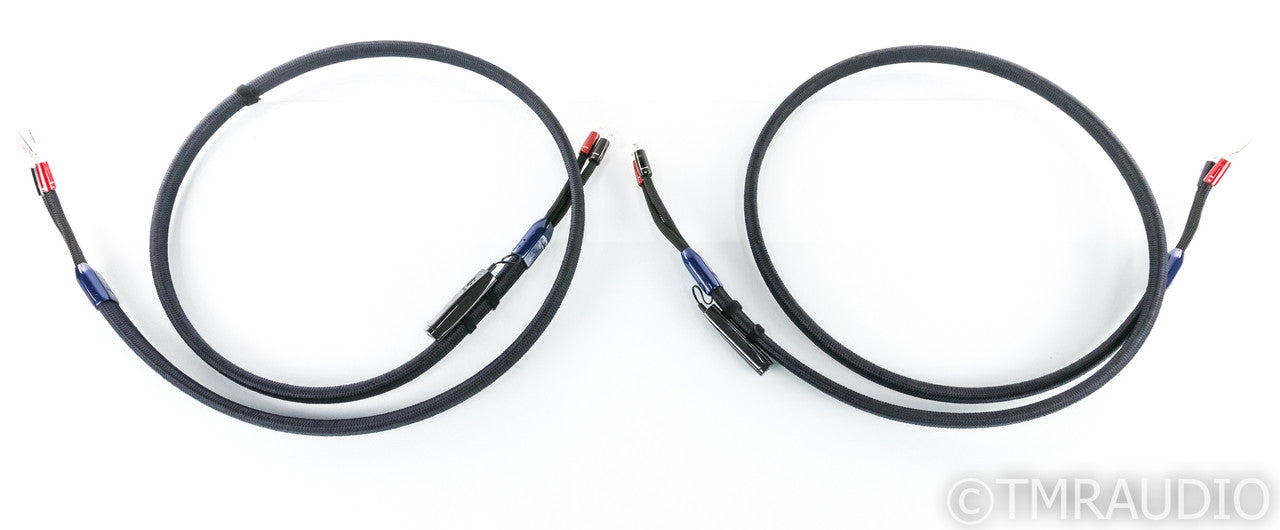 AudioQuest Thunderbird Zero Speaker Cables; 2.5m Pair; 72V DBS (Large V-Spades)