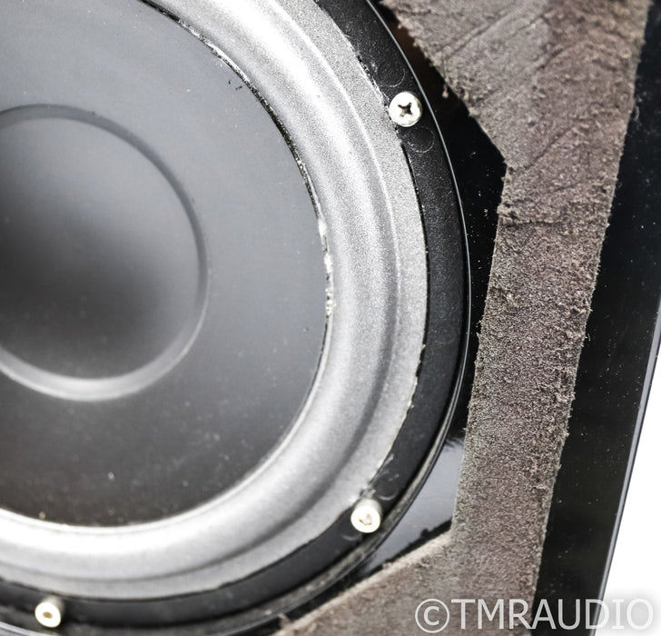 Wilson Audio WATT/Puppy Series 6 Floorstanding Speakers