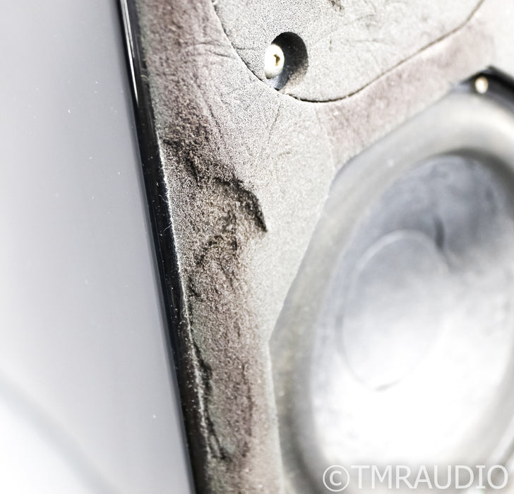 Wilson Audio WATT/Puppy Series 6 Floorstanding Speakers
