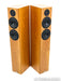Tannoy revolution r3 Floorstanding Speakers