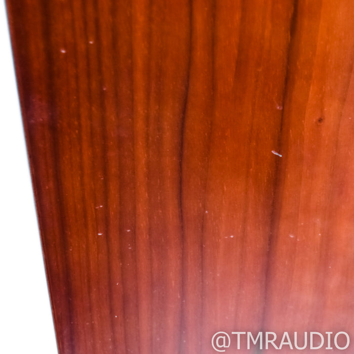 Aerial Acoustics Model 6 Floorstanding Speakers