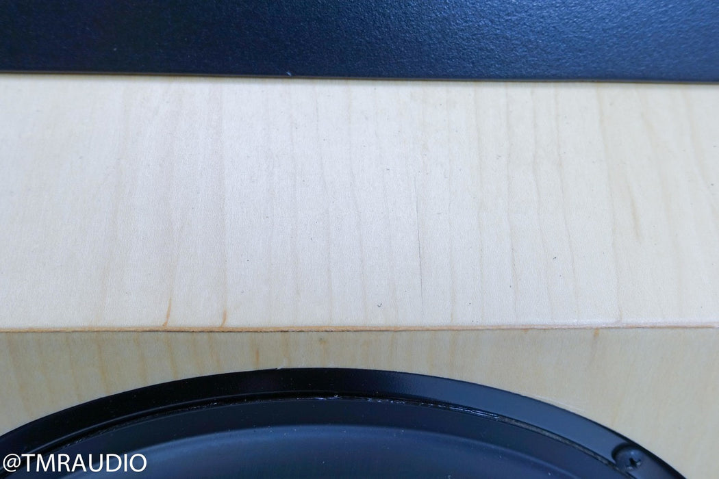 Tyler Acoustics D12X Studio Mastering Monitors / Speakers
