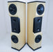 Tyler Acoustics D12X Studio Mastering Monitors / Speakers