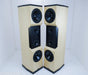 Tyler Acoustics D12X Studio Mastering Monitors / Speakers